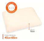 Travesseiro Kit Nasa X 2 un Duoflex Altura 10cm Para Fronha 45x65cm Antiácaro Capa Malha 100% algodão